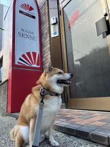 看板犬　龍