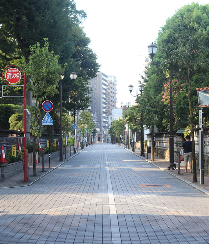 近隣の道路